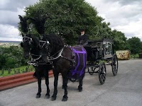 Horse drawn Carriage Hire   Disley 280895 Image 4